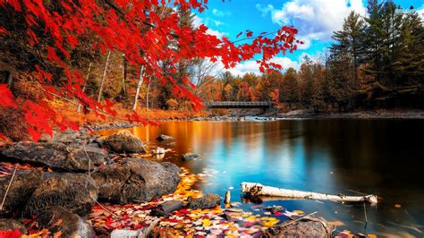 Free Photo Autumn Lake Scenic Pink Pond Free Download Jooinn