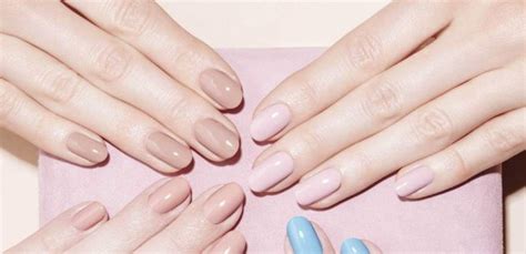 Bordeaux (ligue 1) günel kadro ve piyasa değerleri transferler söylentiler oyuncu istatistikleri fikstür.resmi kulüp adı: هذا اللون الرائع هو موضة الأظافر لشتاء 2019