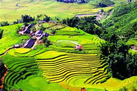 Context sentences for sapă in english. Private transfer Hanoi to Sapa with English speaking ...