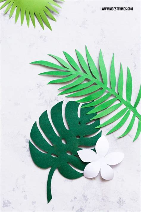 Glue the plants to the box using a glue gun. Image result for tropical plant outline cricut | Leaves ...