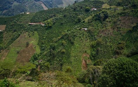 Colombia 2011 Cultural Landscape Landscape Unesco