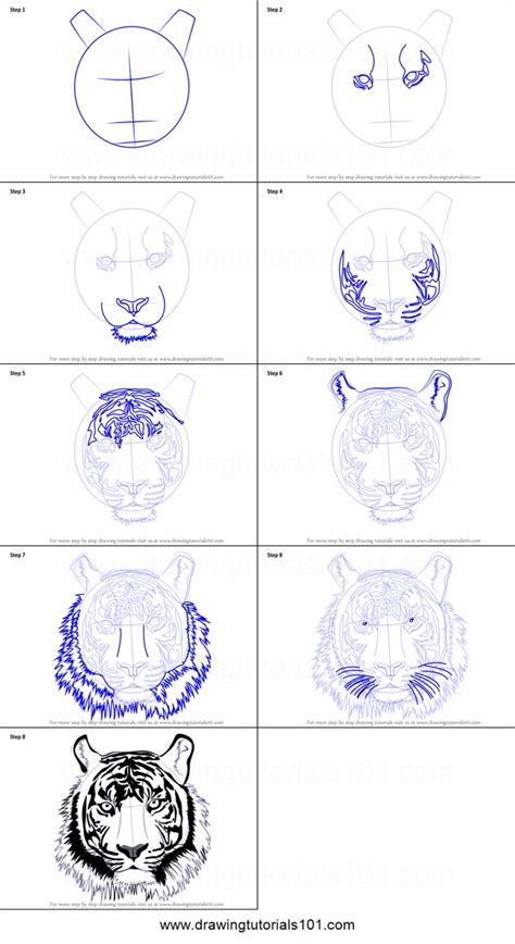 How To Draw A Tiger Face Printable Step By Step Drawing Sheet