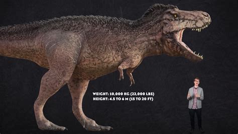 Why does T.rex have tiny arms? | The Kid Should See This