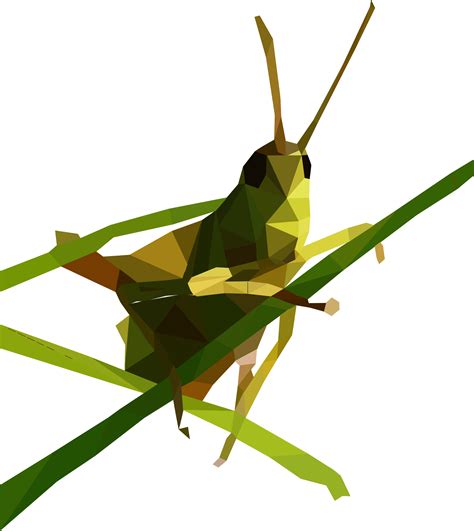 Grasshopper Png Images Transparent Free Download Pngmart