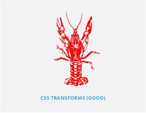 Animate text along a path on scroll using svg and a scoop of vanilla javascript. Download Spiny Lobster svg for free - Designlooter 2020