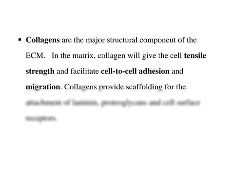 Solution Connective Tissue Nursing Study Guide The Main Fibrous