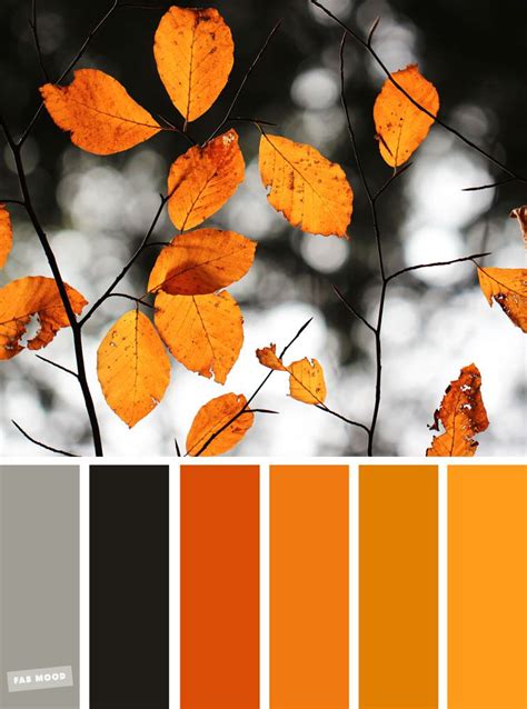 59 Pretty Autumn Color Schemes Burnt Orange Autumn Leaves Color