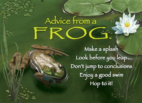 Look Before You Leap Advice From A Frog Frog Quotes Frog Inspirational Qutoes