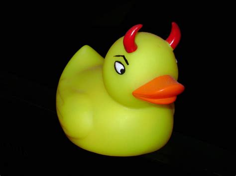 Evil Ducky 3 Of 365 By Snoogaloo On Deviantart