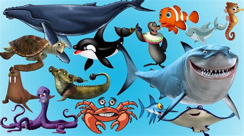 Sea Creatures For Kids With Names