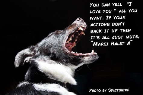 Pin By Marci Arguin On Marci Halet A Quotes Aggressive Dog Dog