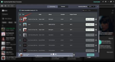 Tunefab Spotify Music Converter V3121 Update Review Full Comparison