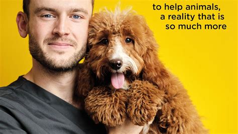 The Secret Life of a Vet: A heartwarming glimpse into the real world of