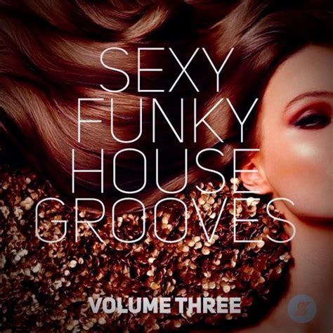 va sexy funky house grooves volume three 2022 softarchive