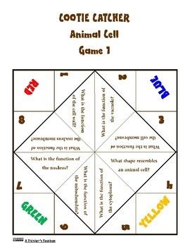 There is a unimaginable amount of animal species in our world. Animal Cell Hand Game by A Thinker's Toolbox | Teachers ...