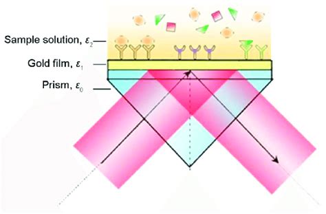 We have investigated the surface plasmon resonance (spr) sensors through ptse2 sensitivity enhancement of a surface plasmon resonance sensor with platinum diselenide. Kretschmann configuration used for surface plasmon ...
