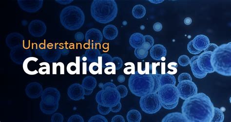 Understanding Candida Auris Risks Symptoms And Prevention Measures