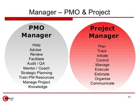 manager pmo and project pmo project manager manager help plan project management