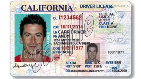 Undocumented Immigrants Apply For Drivers Licenses In California