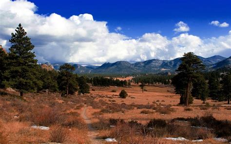 Imagem de Fundo - Paisagem com árvores e montanhas ao fundo | Imagens