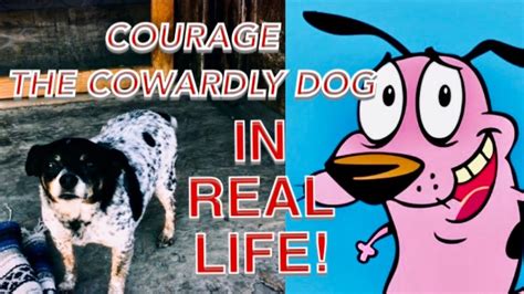 Courage The Cowardly Dog In Real Life Live Action Youtube