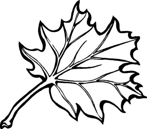 Fall Leaves Coloring Pages