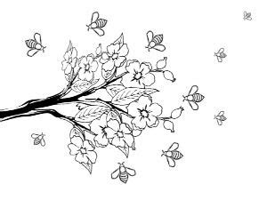 Realistic honey bee bee coloring pages. Bee Coloring Pages, Educational Activity sheets And ...