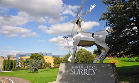 Why The University Of Surrey Is On The Rise Education The Guardian