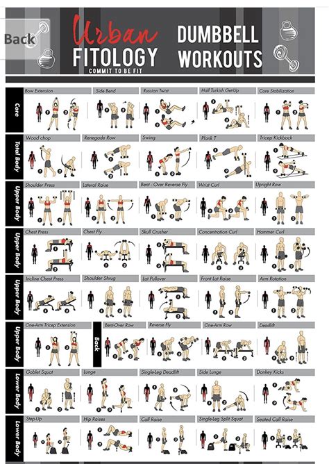 Pin By Nidhi Singh On Fitness New Dumbbell Workout Full Body