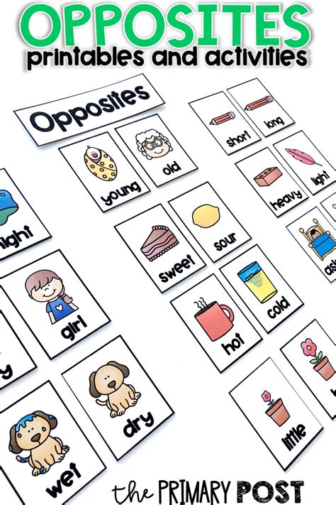 An Image Of Opposites And Opposites Worksheet For The Primary School Classroom