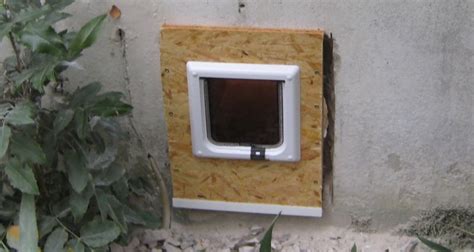 Der innenraum des gebäudes wird im westen, bei der gebogenen mauer, durch eine aus dieser mauer ragende zunge in zwei unregelmäßig geformte bereiche oder kammern unterteilt. Frage zu Katzenklappe mit Schleuse