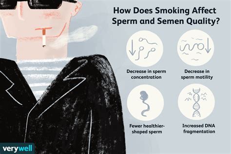 The Effect Smoking Has On Sperm And Male Fertility