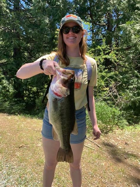 The businesses listed also serve surrounding cities and neighborhoods including pioneer ca, twain harte ca, and twin bridges ca. White Pines Lakes Fish Report - Arnold, CA (Calaveras County)
