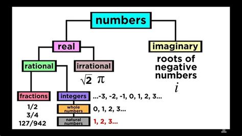 Types Of Numbers Mathematics Quizizz
