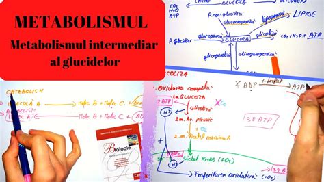 Admitere 2021 medicină · farmacie · stomatologie învățăm și aprofundăm accesând lecțiile și grilele cu explicații. ADMITERE MEDICINA: METABOLISMUL 1: Metabolismul ...