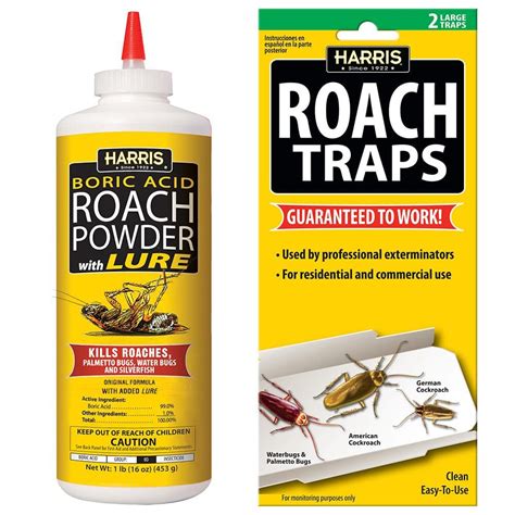 Best Roach Killers Of 2023 How To Kill Cockroaches Ph