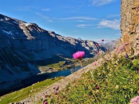 Glattalpsee is a reservoir on glattalp, above bisisthal, in the municipality of muotathal, canton of schwyz, switzerland. Glattalpsee • Stoos