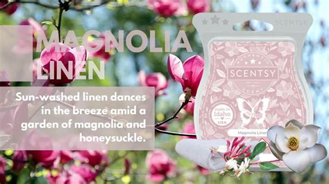 Magnolia Linen Scentsy Wax Bar Fragrance Description YouTube