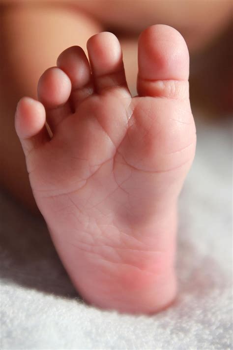 Free Picture Foot Baby Newborn Skin Child