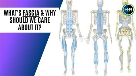 What Is Fascia And Why Should We Care About It Youtube