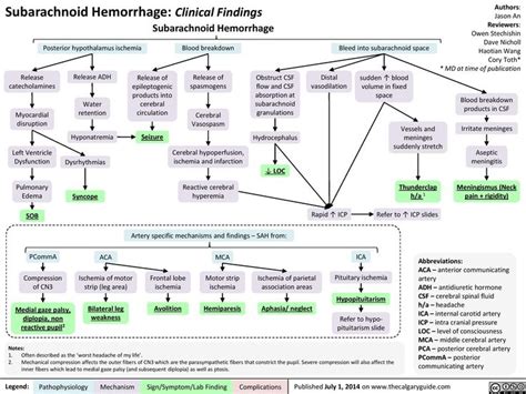 Subarachnoid Hemorrhage Clinical Findings Calgary Guide