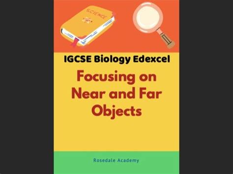 Igcse And Gcse 9 1 Biology Edexcel ~ Focusing On Near And Far Objects