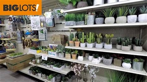 Custom blinds, shades & shutters for the entire milwaukee, wi area. BIG LOTS SPRING HOME DECOR - SHOP WITH ME SHOPPING STORE ...