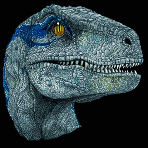 Velociraptor Blue Wallpaper Hd Download Hd Blue Wallpapers Best