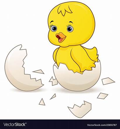 Chick Egg Hatching Clipart Cartoon Hatched Duck