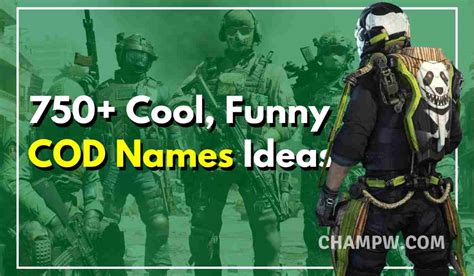 750 Funny Cod Names Ideas For Your Cod Usernames