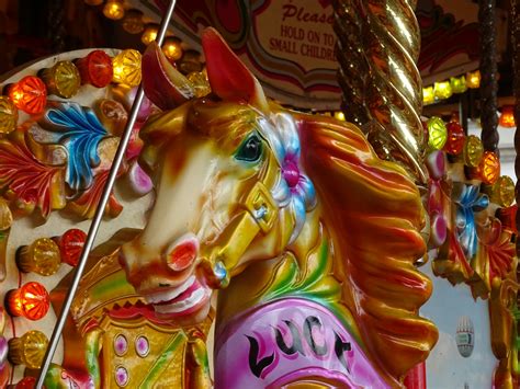 Lucy Carousel Horse Free Stock Photo Public Domain Pictures
