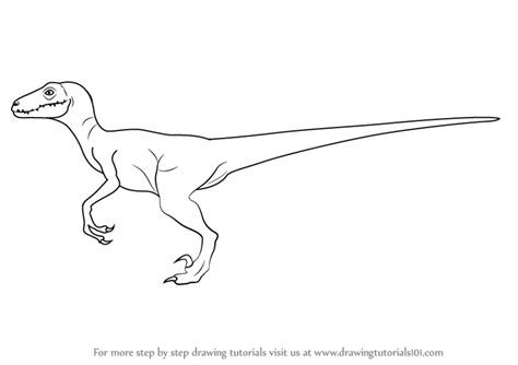 About 3% of these are atvs, 0% are atv/utv a wide variety of kids raptor options are available to you, such as power, voltage, and transmission type. Learn How to Draw a Velociraptor (Dinosaurs) Step by Step ...