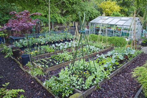 Best Vegetable Garden Ideas For You Topsdecor Com