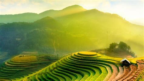 Vietnam shares borders with three neighboring countries. The GEF's contribution to sustainable development in ...